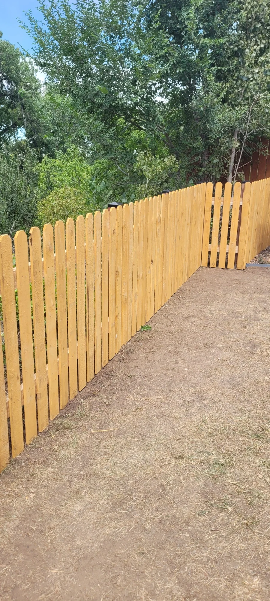 New wood privacy fence and gate